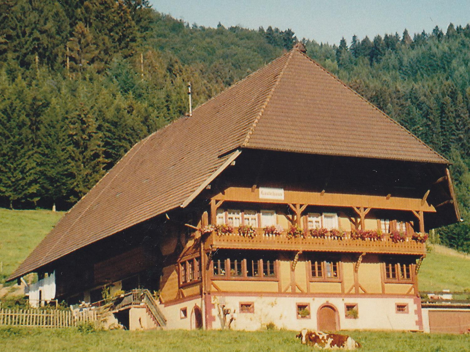 Waeldebauernhof Hotel Gutach Exterior photo